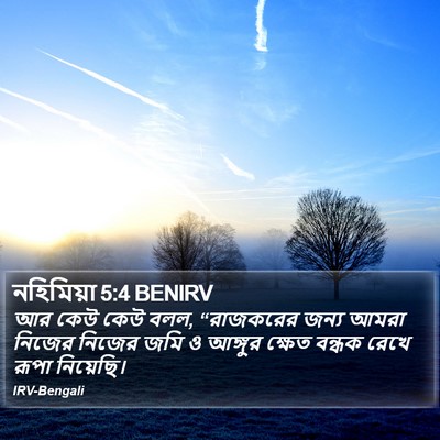 নহিমিয়া 5:4 BENIRV Bible Verse Image