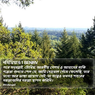 নহিমিয়া 6:1 BENIRV Bible Verse Image
