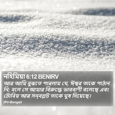 নহিমিয়া 6:12 BENIRV Bible Verse Image