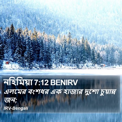 নহিমিয়া 7:12 BENIRV Bible Verse Image
