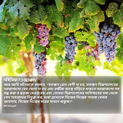 নহিমিয়া 7:3 BENIRV Bible Verse Image