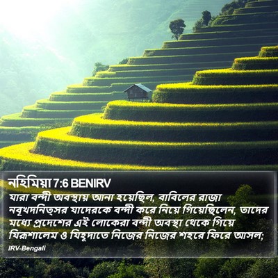 নহিমিয়া 7:6 BENIRV Bible Verse Image