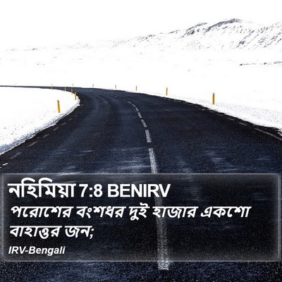 নহিমিয়া 7:8 BENIRV Bible Verse Image