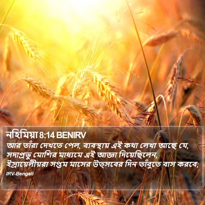 নহিমিয়া 8:14 BENIRV Bible Verse Image