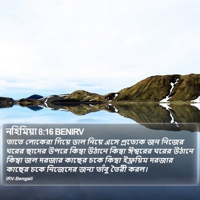 নহিমিয়া 8:16 BENIRV Bible Verse Image