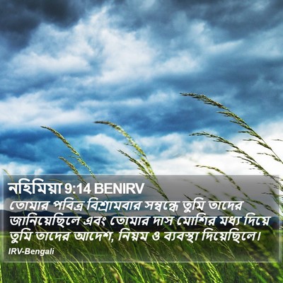 নহিমিয়া 9:14 BENIRV Bible Verse Image
