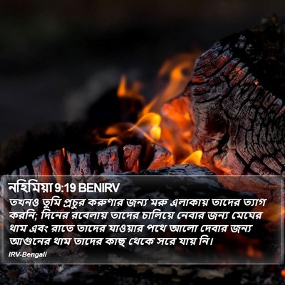 নহিমিয়া 9:19 BENIRV Bible Verse Image