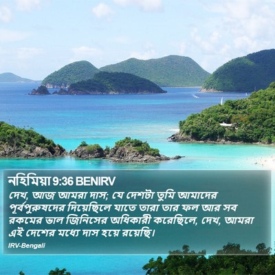 নহিমিয়া 9:36 BENIRV Bible Verse Image