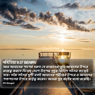 নহিমিয়া 9:37 BENIRV Bible Verse Image