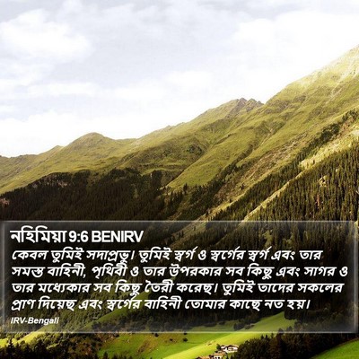 নহিমিয়া 9:6 BENIRV Bible Verse Image