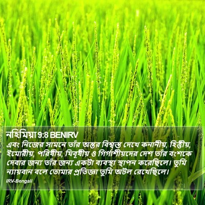 নহিমিয়া 9:8 BENIRV Bible Verse Image