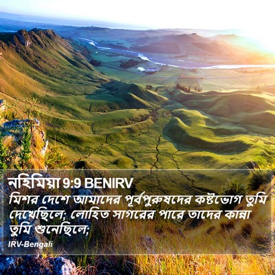 নহিমিয়া 9:9 BENIRV Bible Verse Image
