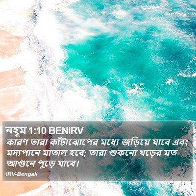 নহূম 1:10 BENIRV Bible Verse Image