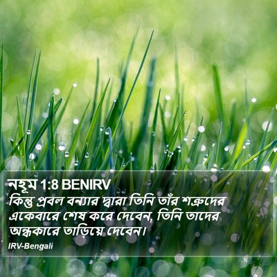 নহূম 1:8 BENIRV Bible Verse Image