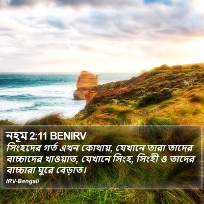 নহূম 2:11 BENIRV Bible Verse Image