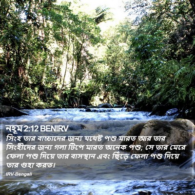 নহূম 2:12 BENIRV Bible Verse Image