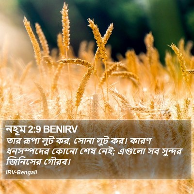 নহূম 2:9 BENIRV Bible Verse Image