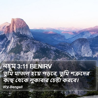 নহূম 3:11 BENIRV Bible Verse Image