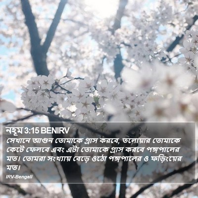 নহূম 3:15 BENIRV Bible Verse Image
