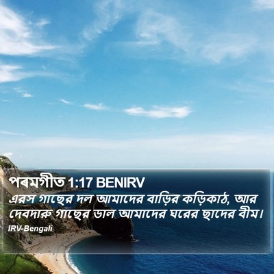 পৰমগীত 1:17 BENIRV Bible Verse Image