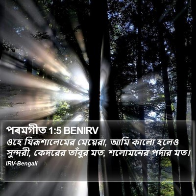 পৰমগীত 1:5 BENIRV Bible Verse Image