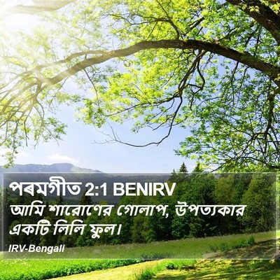 পৰমগীত 2:1 BENIRV Bible Verse Image
