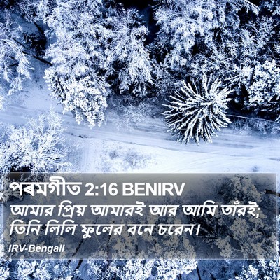 পৰমগীত 2:16 BENIRV Bible Verse Image