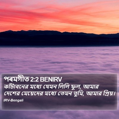 পৰমগীত 2:2 BENIRV Bible Verse Image