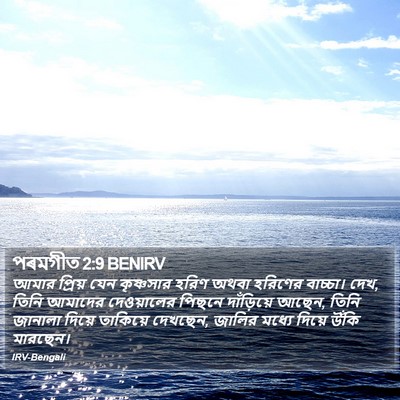 পৰমগীত 2:9 BENIRV Bible Verse Image