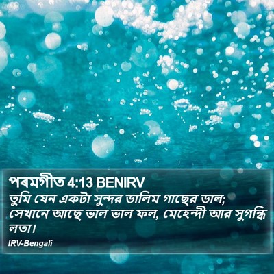 পৰমগীত 4:13 BENIRV Bible Verse Image