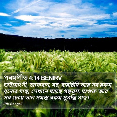 পৰমগীত 4:14 BENIRV Bible Verse Image