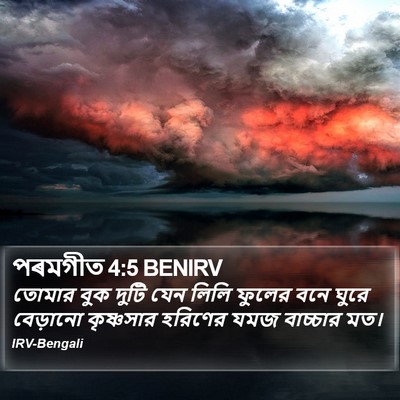 পৰমগীত 4:5 BENIRV Bible Verse Image