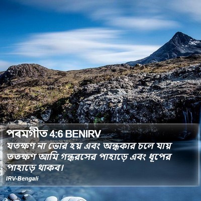 পৰমগীত 4:6 BENIRV Bible Verse Image