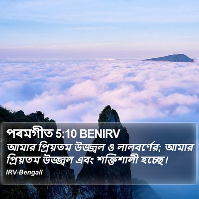 পৰমগীত 5:10 BENIRV Bible Verse Image