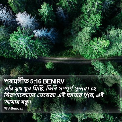 পৰমগীত 5:16 BENIRV Bible Verse Image