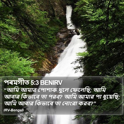 পৰমগীত 5:3 BENIRV Bible Verse Image