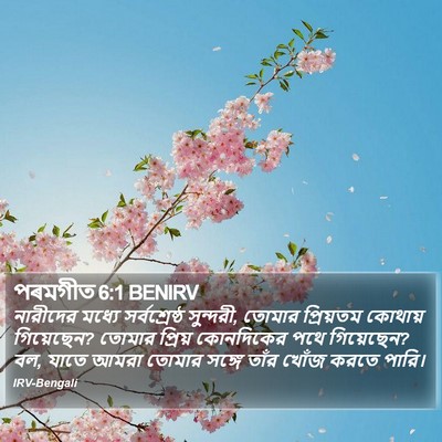 পৰমগীত 6:1 BENIRV Bible Verse Image