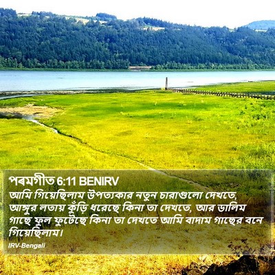 পৰমগীত 6:11 BENIRV Bible Verse Image