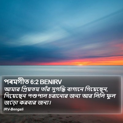 পৰমগীত 6:2 BENIRV Bible Verse Image