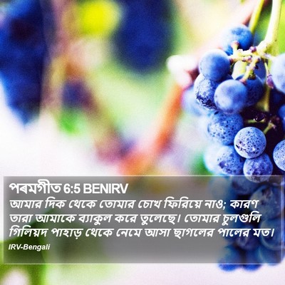 পৰমগীত 6:5 BENIRV Bible Verse Image