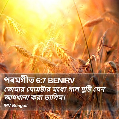 পৰমগীত 6:7 BENIRV Bible Verse Image