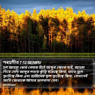 পৰমগীত 7:12 BENIRV Bible Verse Image