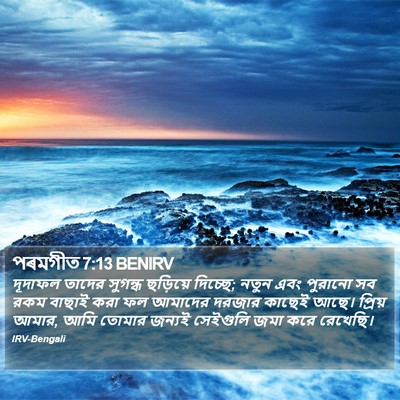 পৰমগীত 7:13 BENIRV Bible Verse Image