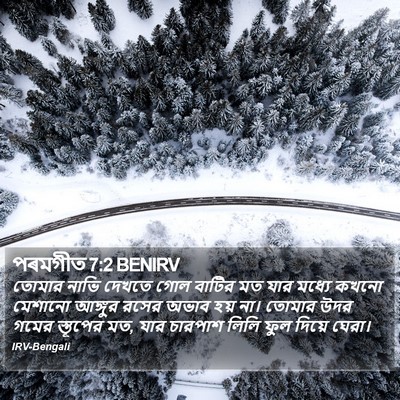 পৰমগীত 7:2 BENIRV Bible Verse Image