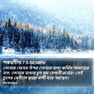 পৰমগীত 7:5 BENIRV Bible Verse Image