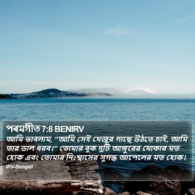 পৰমগীত 7:8 BENIRV Bible Verse Image