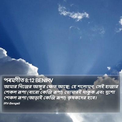 পৰমগীত 8:12 BENIRV Bible Verse Image