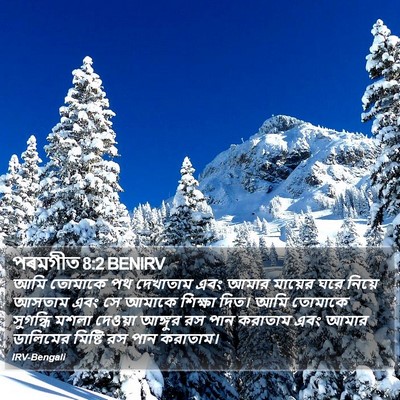 পৰমগীত 8:2 BENIRV Bible Verse Image