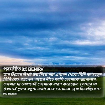 পৰমগীত 8:5 BENIRV Bible Verse Image
