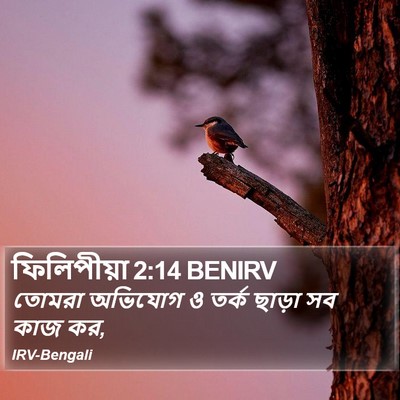 ফিলিপীয়া 2:14 BENIRV Bible Verse Image